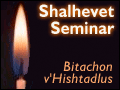 Shalhevet Seminar: Bitachon V'Hishtadlus