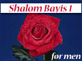 Shalom Bayis Part 1 - for men