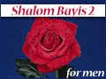 Shalom Bayis Part 2 - for men