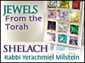 Shelach: Appreciating What You Have