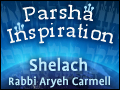 Shelach: Reading the Signs