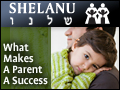 Shelanu: What Makes A Parent A Success
