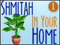 Shmitah In Your Home #1