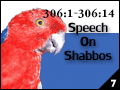 Speech On Shabbos 306:1-306:14