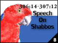 Speech On Shabbos 306:14-307:12