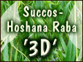Sukkos - Hoshana Raba in 3D