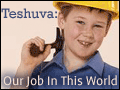 Teshuvah: Our Job in this World