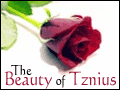 The Beauty of Tznius