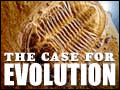 The Case for Evolution