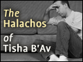 The Halachos of Tisha B'Av