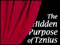 The Hidden Purpose of Tznius
