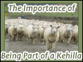 The Importance of Being Part of a Kehilla