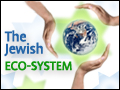 The Jewish Eco-System