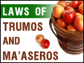 The Laws of Trumos and Ma'aseros