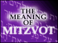 The Meaning of Mitzvot