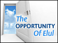The Opportunity Of Elul