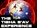 The Tisha B'Av Experience