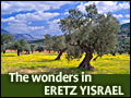 The Wonders in Eretz Yisrael