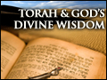 Torah and God's Divine Wisdom