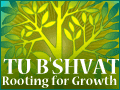 Tu B'Shvat: Rooting for Growth