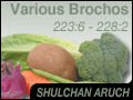 Various Brochos 223:6 - 228:2