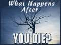 What Happens After You Die?