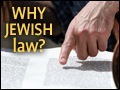 Why Jewish Law?