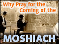 Why Pray for the Coming of Mashiach