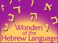 Wonders of the Hebrew Language