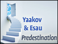 Yaakov & Esau: Predestination