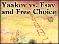 Yaakov vs. Esav and Free Choice