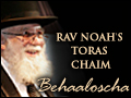 Living The Torah Life