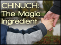 Chinuch: The Magic Ingredient