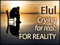 Elul - Crying for Real: For Reality