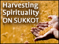 Harvesting Spirituality On Sukkot