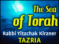 Tazria: Measures of Impurity
