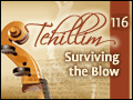 Tehillim: Psalm 116 - Surviving the Blow