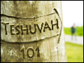 Teshuvah 101