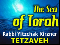 Tetzaveh: Man's Priestly Garments
