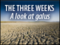 The Three Weeks: A Look at Galus