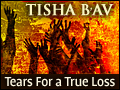 Tisha B'Av: Tears for the True Loss