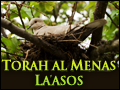 Torah Al Menas Laasos