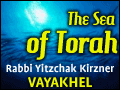 Vayakhel: An Approach To Judaism