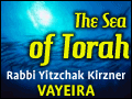 Vayeira: Sodom's Destruction