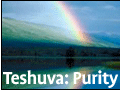Teshuvah: Purity