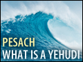 Pesach: What is a Yehudi?