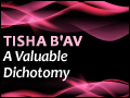 Tisha B'Av: A Valuable Dichotomy