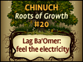 Chinuch: Roots of Growth #20: Lag Ba'Omer: Feel the Electricity