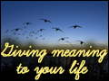 Giving Meaning to Your Life