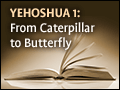 Yehoshua 1: From Caterpillar to Butterfly
